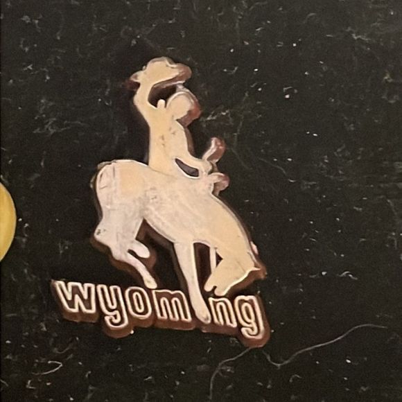 Vintage 1” x 0.75” “Wyoming ASI 65485” hat/lapel pin or tie tack - Picture 2 of 10